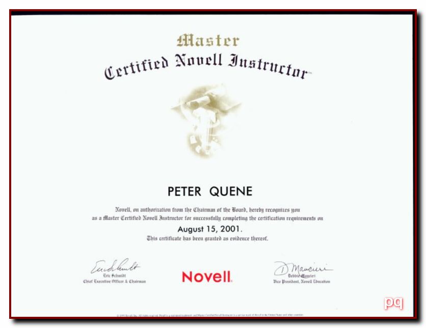 Master CNI